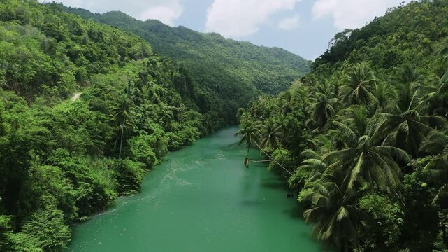 Aerial view of the lush tropical vegetation and winding emerald waters of the Loboc River Cruise in Loboc, Central Visayas, Philippines.