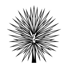 Obraz premium Spiky Yucca Plant With Sharp Leaves Silhouette Illustration