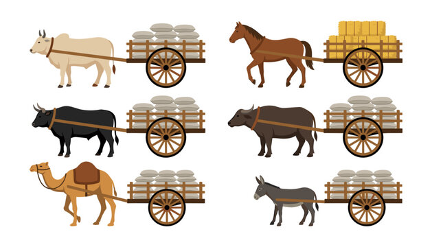 Traditional agricultural animal cart vector set featuring an ox, horse, bull, water buffalo, camel, and donkey pulling heavy transport cargo loads.