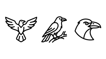Fototapeta premium Set of minimalist black outline raven and crow icons featuring flying bird perched bird on branch detailed head profile on white background minimalist wildlife creature collection template