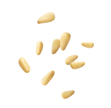 Fresh raw pine nuts flying in the air isolated. Food levitation concept.