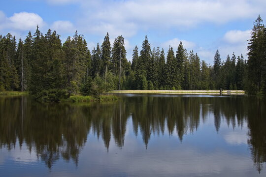 Pond in Kladske raseliny, Slavkovsky les, Czech republic,Europe
