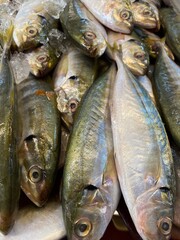 Fototapeta premium fresh fish on the market, kembung fish