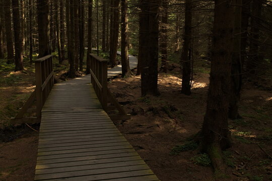 Nature studies path in Kladske raseliny, Slavkovsky les, Czech republic,Europe
