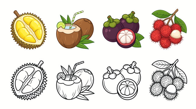 Tropical fruit vector icons featuring colored and line art illustrations of durian, coconut, mangosteen, and rambutan