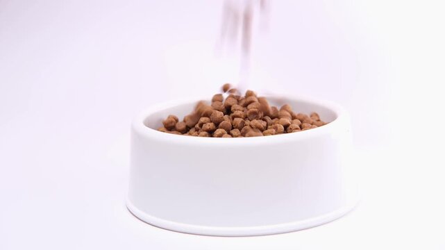 Brown crunchy pet kibble falls into a white bowl on a bright background, veterinary care, pet food industry, online pet shop, feeding domestic cats, animal nutrition, crunchy meal.