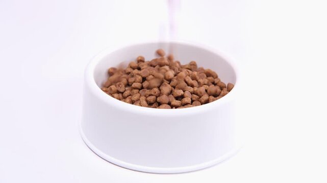 Dry pet food fills a white bowl on a solid white surface, pet supply store, veterinary nutrition, animal care, feeding time, domestic cat diet, healthy kibble meal.