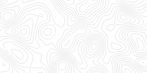 minimal discovery grid topography map area topographic lines map. geographic mountain outline relief. Topo contour paper map design. © MdLothfor