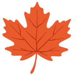 Fototapeta premium Autumn Orange Maple Leaf Vector Illustration