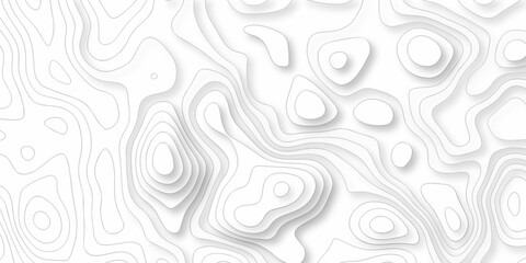 minimal discovery grid topography map area topographic lines map. geographic mountain outline relief. Topo contour paper map design. © MdLothfor