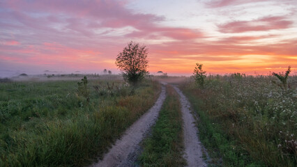 Naklejka premium A dirt road winds through a grassy field under a beautiful sunset sky filled with pink, orange, and white clouds