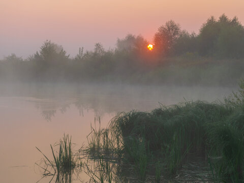 A serene, misty lake at sunrise reflects the warm orange glow of the sun breaking through dense green trees and reeds