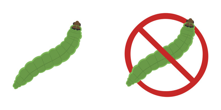 Tomato Leafminer Larva Pest Insect Vector Illustration