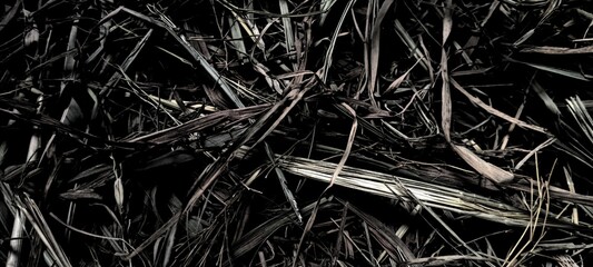 Dark dry grass texture black straw organic grunge background © Texture galery83