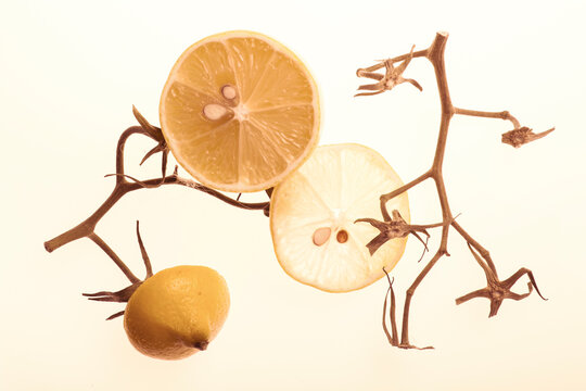 Sliced ​​lemon wedges on a white background