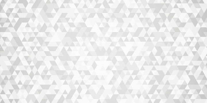white and gray randomly low polygon paper triangle creative rectangle technology wallpaper. Polygon mosaic triangle, business banner corporate background.