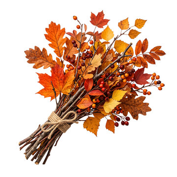 Decorative bundle of autumn branches with colorful leaves isolated on transparent background asset
