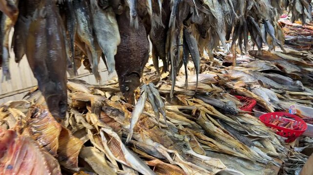 Large assortment of stockfish and cured fish hanging and piled on counter at traditional local market. Various species of dried salty seafood product displayed for sale in retail store.