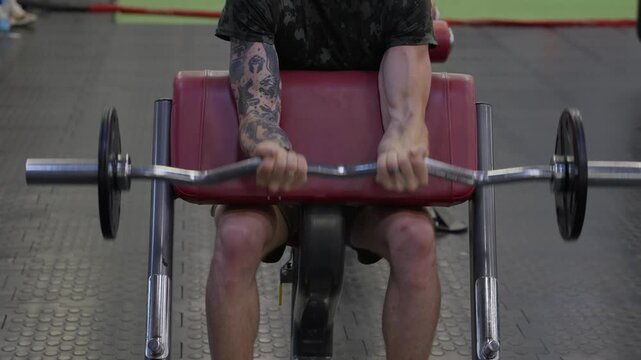 A man performs a seated barbell biceps curl in the gym