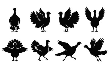 Fototapeta premium A collection of black silhouettes featuring various poses of turkeys isolated on a clean white background for design projects