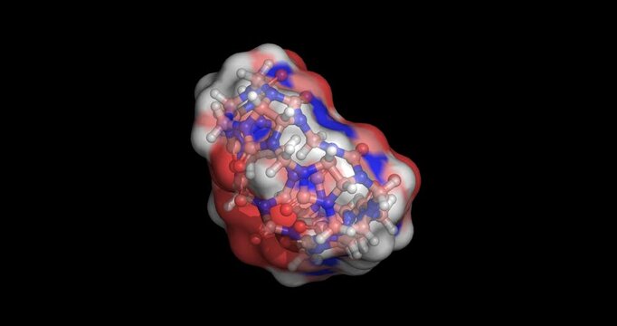 Cucurbit[7]uril, CB7 macrocyclic host molecule used for supramolecular chemistry and drug delivery, ball and stick surface, 3D molecule 4K spinning