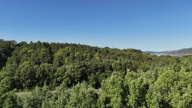 Verden France. Experience the serene beauty of nature. A landscape that invites you to explore its lush greenery and sparkling waters. Perfect for relaxation.