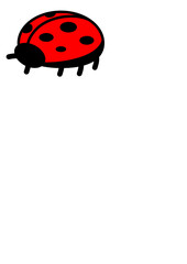 Fototapeta premium Cute Red Ladybug Insect Cartoon Vector Illustration