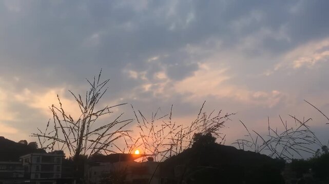 Sunset over Rural Hillside with Silhouetted Grass and Residential Buildings