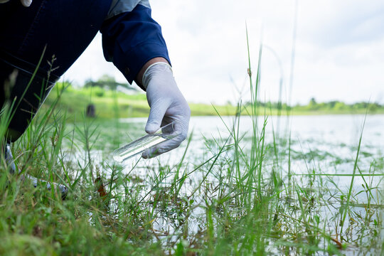 Environmental scientist collecting and examining a water sample from a natural stream for field quality assessment.