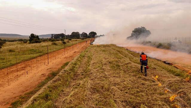 Aerial view of a firefighter monitoring a controlled burn in a dry grassy field with smoke rising near a dirt road and fence in Vaalwater, Limpopo, South Africa.