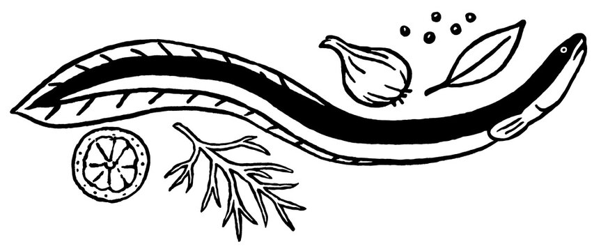 Eel with lemon, onion and bay leaf, lineart