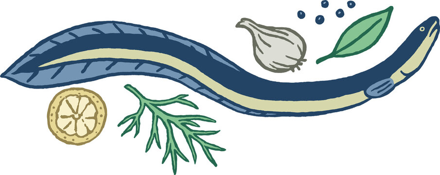 Eel with lemon, onion and bay leaf, color illustration, isolated