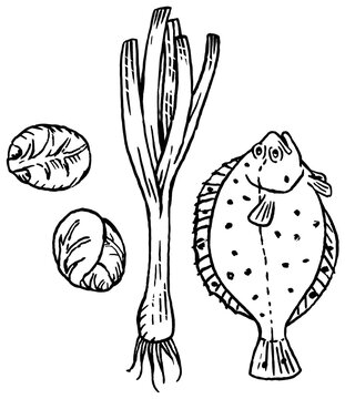 Plaice with brussels sprouts and leeks, lineart