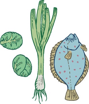 Plaice with brussels sprouts and leeks, color drawing