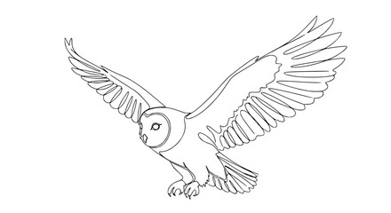 Fototapeta premium Barn Owl Line Art Flying Isolated Transparent Background Bird