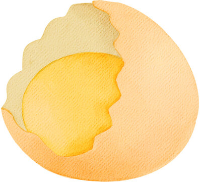 Cracked Egg Shell with Yellow Yolks Inside