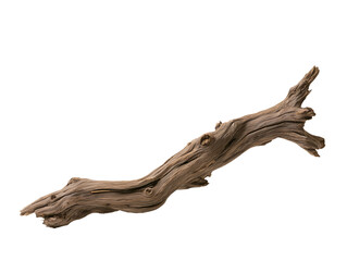 Fototapeta premium Natural Tree Branch Rustic Wooden Stick Isolated on Transparent Background