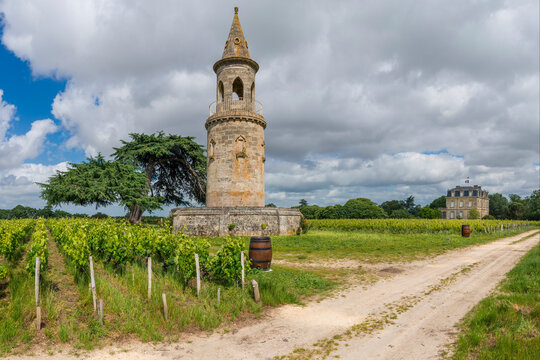 Weinanbau auf einem historischen Weingut in Norden der Region M&egrave;doc, Frankreich