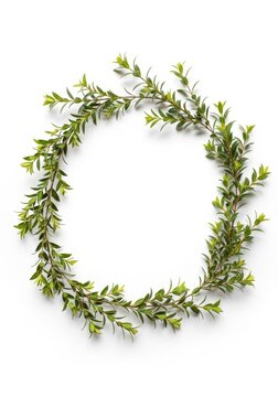 Green plant wreath circle frame on white background. Minimalist organic border made of fresh leaves for wedding card invitation or greeting card. Natural eco friendly floral decor.