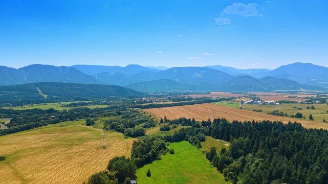 Aerial view of cultivated farmland and power lines, Slovakia. High angle panoramic shot of yellow crop fields, pylon towers, pine forest, and distant mountain peaks.