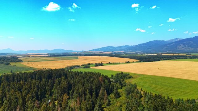 Aerial landscape of spruce forest and agricultural land, Slovakia. High angle view of yellow crop fields, green woods, and mountains in Liptov region under blue sky.