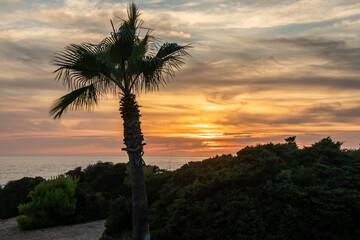 sunset on La Barrosa beach in Sancti Petri, Cadiz, Spain © josevgluis