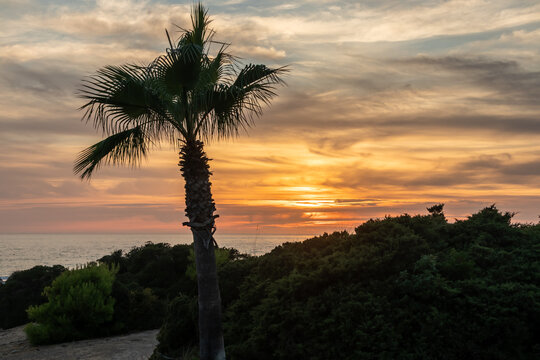 sunset on La Barrosa beach in Sancti Petri, Cadiz, Spain