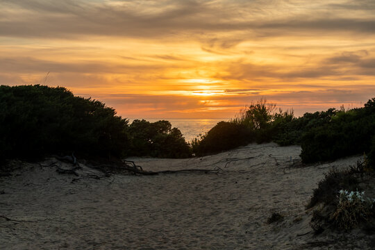 sunset on La Barrosa beach in Sancti Petri, Cadiz, Spain