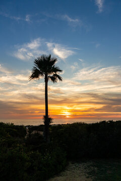 sunset on La Barrosa beach in Sancti Petri, Cadiz, Spain