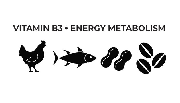 Very beautiful black and white vector of chicken, tuna, peanuts and whole grains representing vitamin B3, VITAMIN B3 &bull; ENERGY METABOLISM, isolated on white background, solid shapes, no gradients.