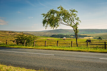 Fototapeta premium Roadside View of Teesdale in the North Pennines, a landscape of sweeping moorlands, renowned for vast open skies, winding rivers and historic stone buildings in a National Landscape