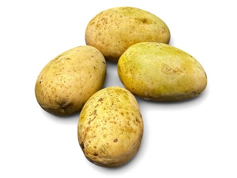 Fresh organic mangoes ready to eat on a pristine white background