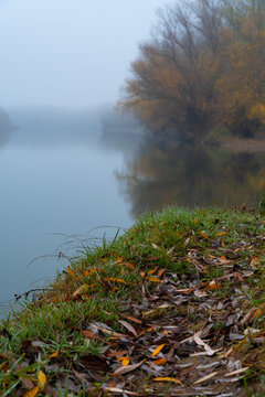 Misty autumn morning landscape with calm river and golden forest trees reflected in the water surface