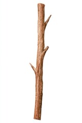 Fototapeta premium Isolated dry tree trunk with branches on white background